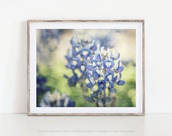 Texas Bluebonnet Print: Painterly Floral Photography Wall Art