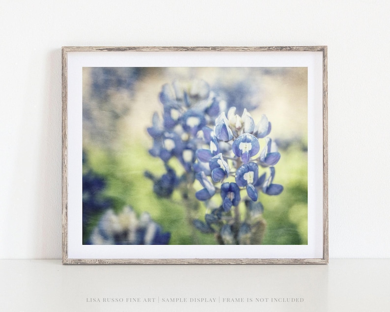 Texas Bluebonnet Print: Painterly Floral Photography Wall Art image 1