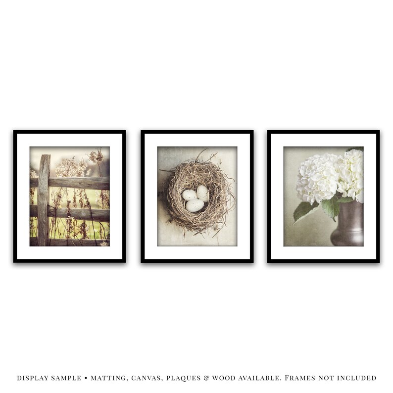 Set Of 3 Prints For Neutral Beige Shabby Chic Wall Decor Etsy