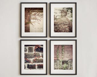 Conjunto de láminas decorativas rústicas de estilo industrial: Estampados de ladrillo, piedra y hiedra - Fotografías sin marco
