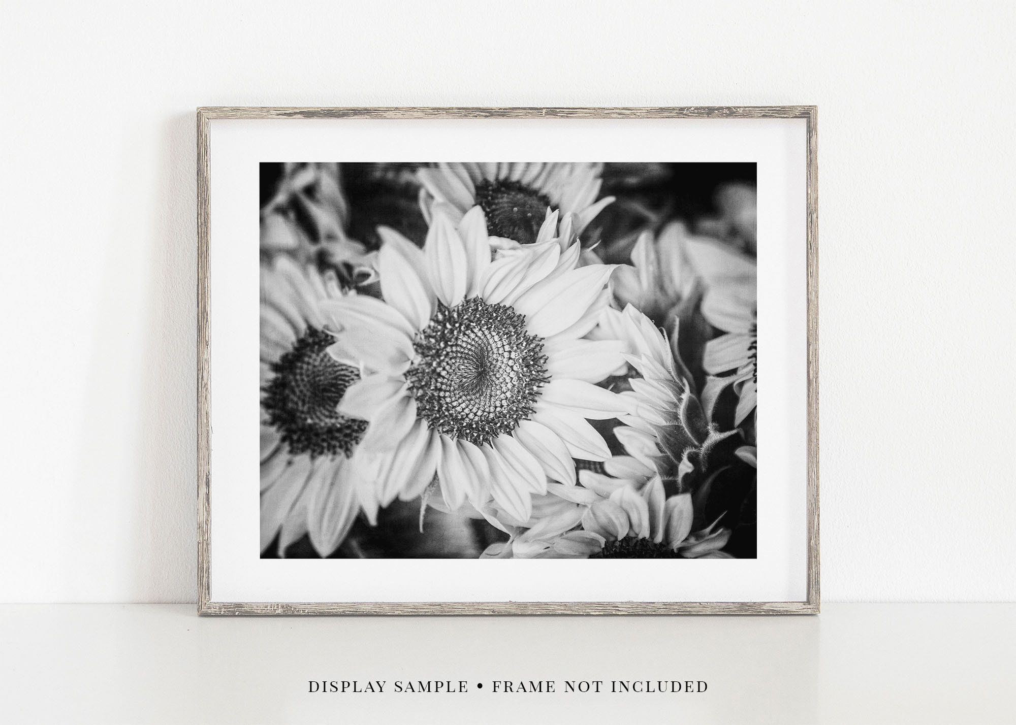 Black and White Sunflower Floral Art Print or Canvas Wall Art. Etsy Polska