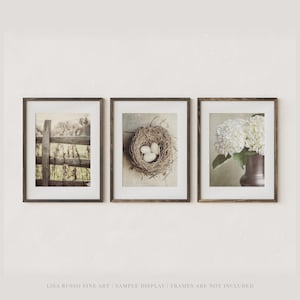 May include: Set of three framed art prints. The first print features a weathered wooden fence. The second print shows a bird's nest with three eggs. The third print displays white hydrangeas in a vase. The frames are dark wood.