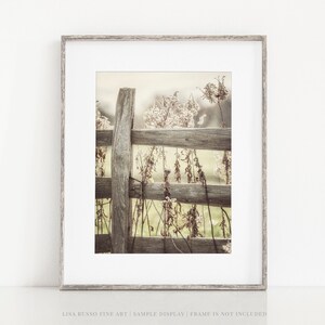 Golden Yellow Farm Art Print or Canvas Country Landscape Photography Gift for Women Farmhouse Wall Decor for Living Room image 2