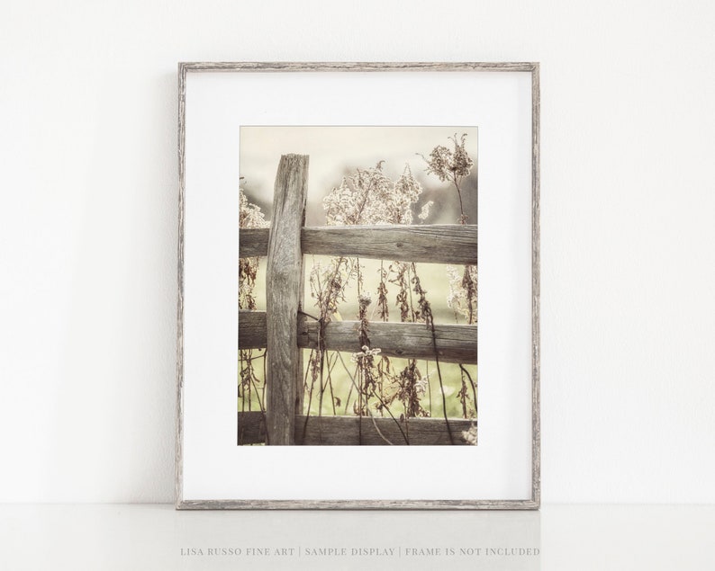 Golden Yellow Farm Art Print or Canvas Country Landscape Photography Gift for Women Farmhouse Wall Decor for Living Room image 2