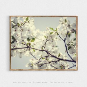 Dogwood Blossom Print: Soft Spring Floral Photography image 4