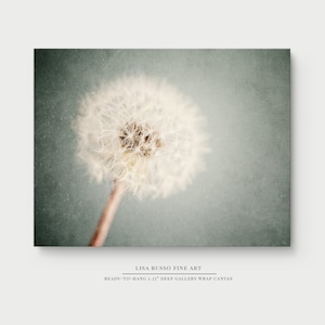 Dandelion Photography - Blue Flower Canvas Wall Art for Nursery Bedroom or Bathroom Decor - Elegant and Whimsical Floral Decor