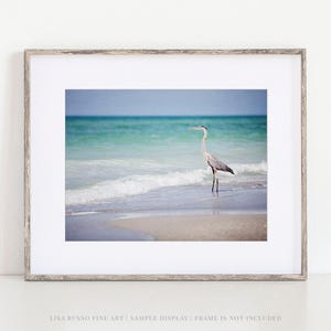 Heron Beach Print: Coastal Wall Art (Multiple Sizes Available)