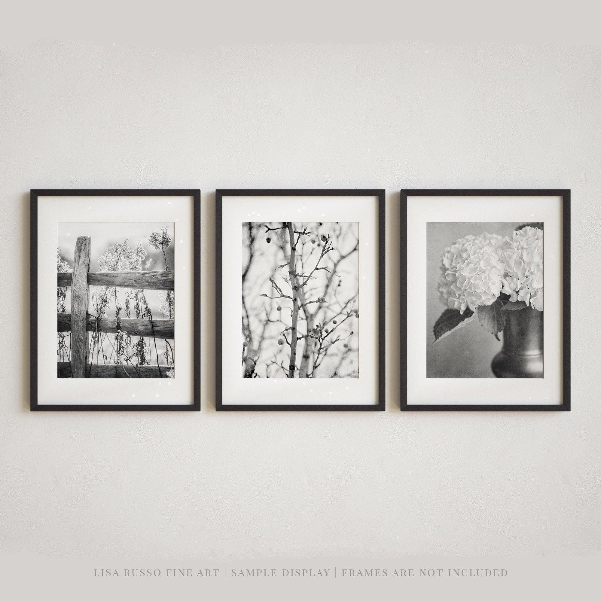 Minimalist Nature Photography Set - Black and White Farmhouse Decor ...