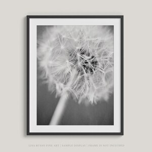 Dandelion Black and White Print Modern Minimalist Home Decor Gift for Her or Baby Neutral Floral Wall Art image 3