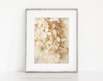 Neutral Beige Flower Print - Shabby Chic Ivory Hydrangea Wall Decor - Bedroom Bathroom Nursery Floral Photography