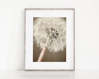 Shabby Chic Brown Dandelion Wall Art for Bedroom or Nursery Decor - Modern Flower Print or Canvas - Botanical Flower Photograph