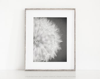 Modern Black and White Dandelion Wall Art Print or Canvas - Floral Nursery or Office Decor