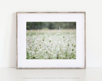 Queen Anne's Lace Wall Art - Gentle Meadow Floral Print