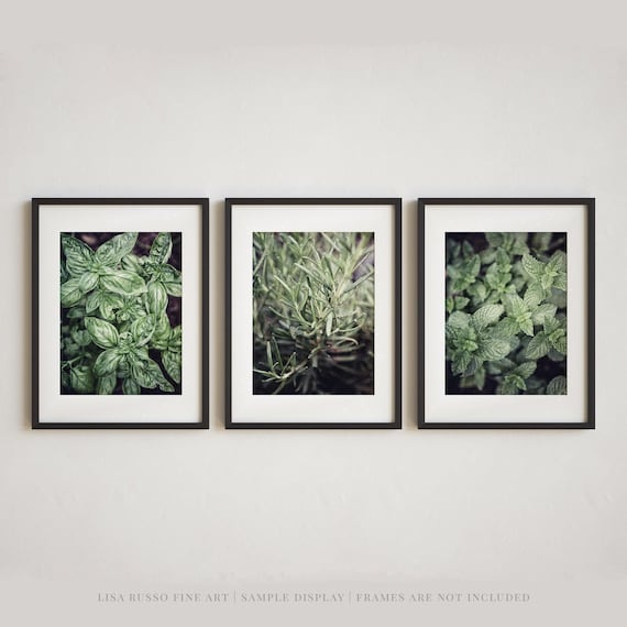 Boho Kitchen Wall Art - Set of 3 Herb Photography Prints - Unframed Photography Prints