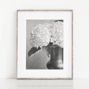 Flower Photography Print: Black and White Hydrangea