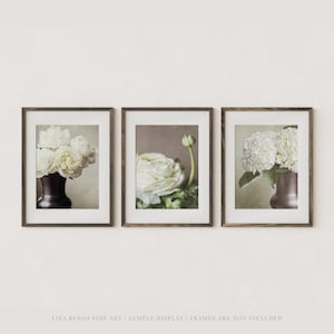 May include: Three framed art prints featuring floral arrangements. The first print shows white flowers in a dark vase. The second print displays a white flower with a green stem. The third print shows white hydrangea in a dark vase.