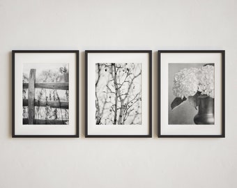 Black and White Prints or Canvas Art, Minimalist Wall Art, Nature Inspired Decor for Office, Bedroom, Bathroom Decor, Shabby Chic Decor