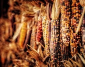 Fall Decor, Autumn Decor, Halloween Decor, October, Indian Corn Photography, Thanksgiving Decor, Fall Wall Art, Orange Gold Russet Sepia.