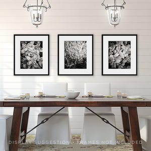 Herb Garden Print Set of 3 Unframed Photography Prints, Kitchen Wall Art Basil Rosemary Mint, Botanical Decor, Kitchen Hostess Gift Her image 5