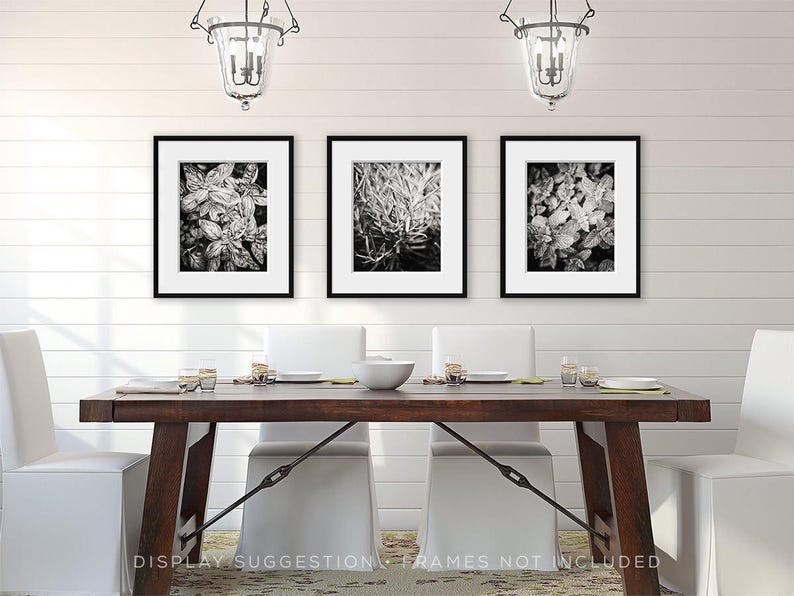 Herb Garden Print Set of 3 Unframed Photography Prints, Kitchen Wall Art Basil Rosemary Mint, Botanical Decor, Kitchen Hostess Gift Her image 5