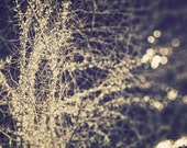 Winter Photography, White Lights Square Print, Glowing Surreal Lights, Saratoga Springs, Victorian Christmas Tree, Gold, Teal.