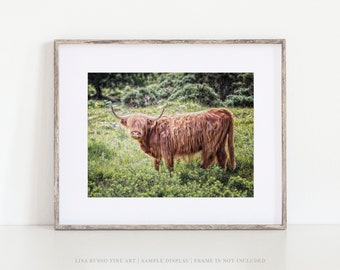 Scotland Highland Cow Print for Childs Bedroom or Wall Decor - Canvas or Photo - Highland Cow Picture