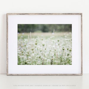 Green and White Wildflower Fine Art Print or Canvas Wall Art - Shabby Chic Nature Decor for Bathroom Bedroom or Nursery