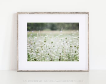 Green and White Wildflower Fine Art Print or Canvas Wall Art - Shabby Chic Nature Decor for Bathroom Bedroom or Nursery