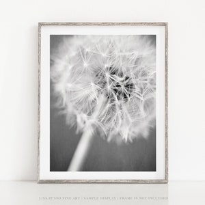 Dandelion Black and White Print Modern Minimalist Home Decor Gift for Her or Baby Neutral Floral Wall Art image 4