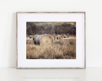 Texas Hay Field Landscape Print - Farmhouse Wall Decor - Gold  Beige - Farm Art