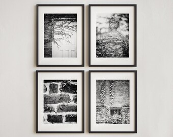 May include: Four framed black and white art prints. The prints depict architectural details: a door, a figure covered in vines, a brick wall, and a window. The prints are displayed on a white wall.