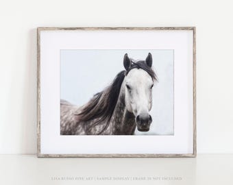 Dapple Grey Horse Unframed Photography Print, Farmhouse Equine Wall Art, Nursery Bedroom Texas Decor