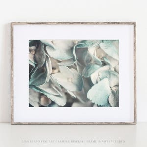 Aqua Hydrangea Print: Shabby Chic Floral Wall Decor
