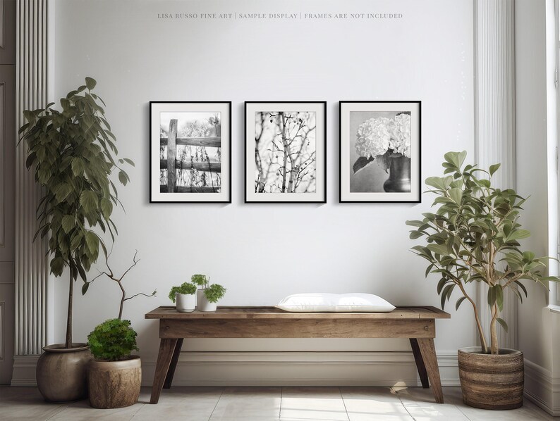 Minimalist Nature Photography Set - Black and White Farmhouse Decor ...