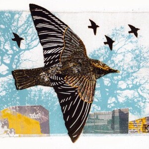 Starlings, 10 x 8 Print on paper image 2