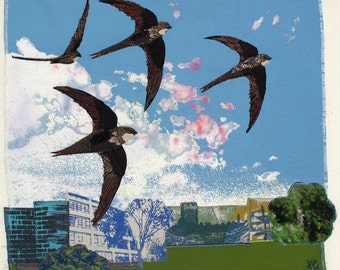 Returning Swifts, Print on paper, 12 x 10.5 inches