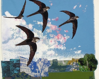 Returning Swifts, Print on paper, 12 x 10.5 inches