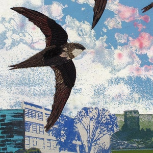 Returning Swifts, Print on paper, 12 x 10.5 inches image 2