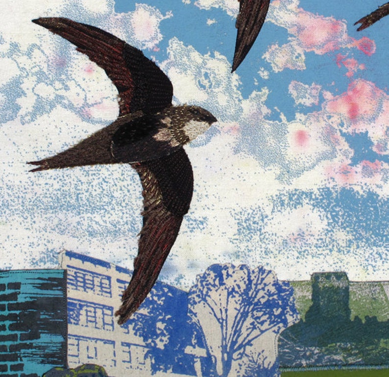 Returning Swifts, Print on paper, 12 x 10.5 inches image 2