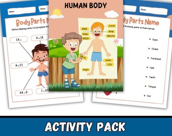 Human Body Busy Book | Montessori Anatomy Learning (PDF Download)
