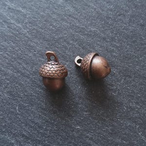 May include: Two bronze-coloured acorn charms. One acorn has a textured cap and a loop for hanging. The other acorn has a smooth cap and a loop. The acorns are set against a dark grey, textured background.