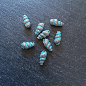 May include: Eight blue and silver seashell-shaped beads are scattered on a dark, textured surface. The beads have a spiral design. The small beads appear to be made of metal and are reminiscent of miniature shells.