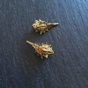 Könnte beinhalten: Zwei goldfarbene, muschelförmige Dekorationsgegenstände. Die Objekte weisen detaillierte, strukturierte Oberflächen und stachelige Vorsprünge auf. Sie sind vor einem dunklen, strukturierten Hintergrund platziert, was einen Kontrast erzeugt.