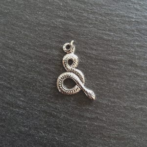 Puede incluir: Un dije de serpiente plateada con un cuerpo enrollado y escamas detalladas. El dije tiene un pequeño lazo en la parte superior para sujetarlo a un collar o pulsera. La cabeza de la serpiente es visible, con un ojo detallado y una boca ligeramente abierta.