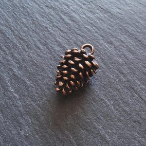 Könnte beinhalten: Ein detaillierter, bronzefarbener Tannenzapfen-Anhänger mit einer kleinen Schlaufe zum Aufhängen. Der Anhänger hat eine strukturierte Oberfläche, die die komplizierten Details der Schuppen des Tannenzapfens zeigt. Ein von der Natur inspiriertes Accessoire.
