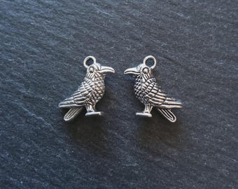 May include: Two silver-colored raven charms. Each charm is detailed with feathers and a hooked beak. The charms have a loop at the top for attaching to jewelry or other crafts. The ravens are displayed on a dark, textured surface.