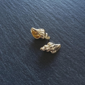 Può includere: Due orecchini dorati a forma di conchiglia. Gli orecchini presentano dettagli di creste e curve strutturate, che riflettono la luce. Sono esposti su una superficie scura e strutturata, creando un contrasto con l'oro brillante.