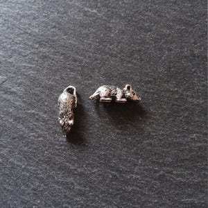 May include: Two small, silver-coloured mouse charms. One charm is upright, and the other is lying down. The charms are detailed with textured fur and small ears. They are set against a dark grey, textured background.