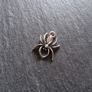 May include: A silver spider charm with eight legs and a loop for attaching to jewellery. The spider has a textured body and legs. The charm is shown against a dark grey background.