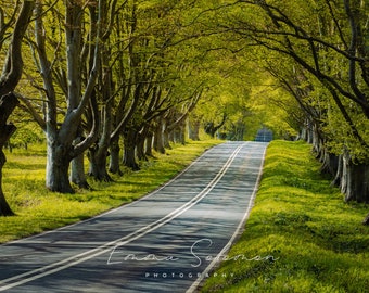 Life is a Journey | Woodland birthday, wedding, greetings cards | photography | Emma Solomon Photography